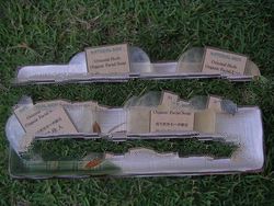 Handemade Natural facial Soap