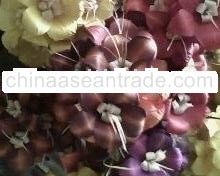 lontar and klobot flowers