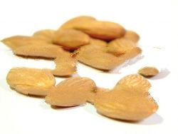 Almond