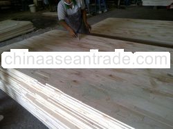 Albizia Falcata Bare Core
