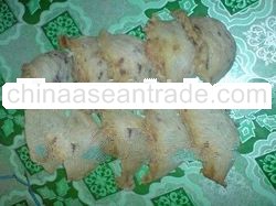 SUPER GRED BIRD NEST FROM GOMANTONG CAVE, MALAYSIA - APRIL PRODUCTION