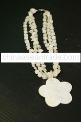 Immaculate Shell Necklace