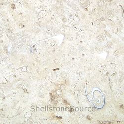 Shellstone Premium Tiles 60cm x 60cm