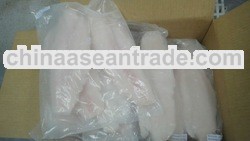 Pangasius Hyphophthalmus