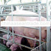 Farm / Poultry Supply