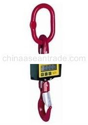 Crane Weigher