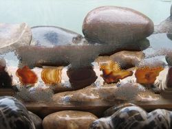 Rough Natural Agates Stones