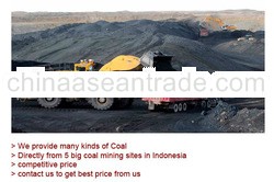 Steam Coal