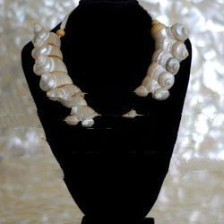 seashell jewelry pearl turbo art fashion
