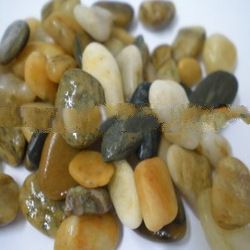 AMP Philippines Pebble