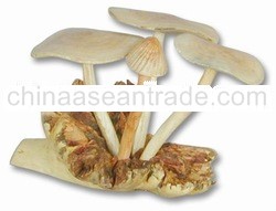 Carved Mashroom