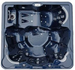 2009 Laguna Hot Tub Spa-48 Jets 6 HP 6 Person