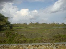 Land Near Airport International Lombok