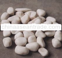 White Bone Pebble