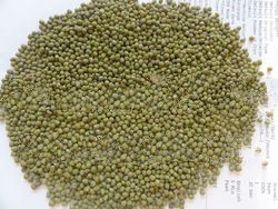 MOUNG BEANS