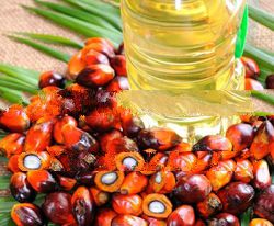 Palm Oil, CPO, CP8, CP10