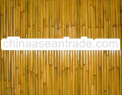 BAMBOO FENCING bfp23