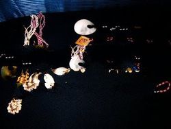 Shell Accessories Necklace