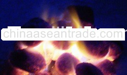 Coconut Shell Briquette