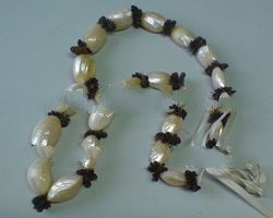 Leis-Made Of Stranded Ipil-Ipil Seeds & Silver Mouth Shell Necklace