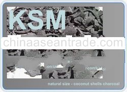 coconut shell charcoal in natural size