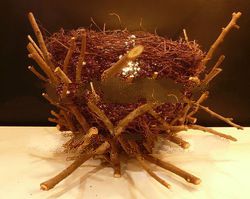 Bird nest