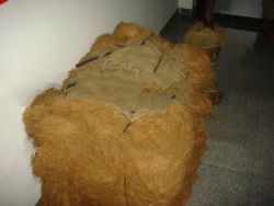 Coconut Fibre (With Pictures)
