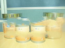 Corrosion Control, Coating & Paint Materials Specialty Products