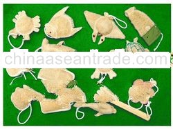 Luffa