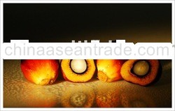 palm oil from malaysia or indonesia