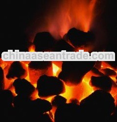  Steam Coal