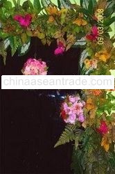 Pomander & Colorful Butterflies flowers decoration