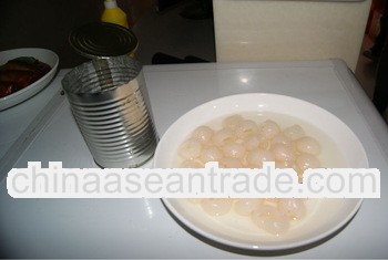 567G Canned Fruits Canned Longan in Light Syrup with price