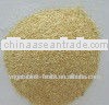 5-8 mesh dehydrated garlic granules