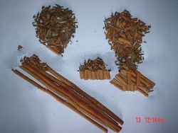 Cassia Vera Cinnamon