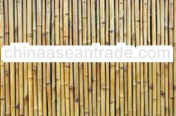 BAMBOO FENCING roll bfro2
