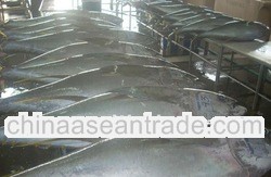 Fresh Chilled Yellowfin Tuna