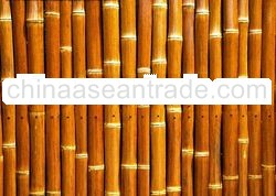 BAMBOO FENCING bfp09