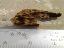 Natural Wild Agarwood Craft