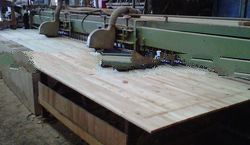 Jumbo Falcatta Barecore