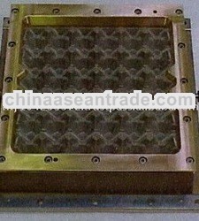 FST Pulp Molds produce clean edge Products