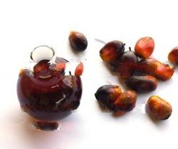Palm Kernel Oil Products