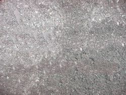 Coconut shell charcoal powder