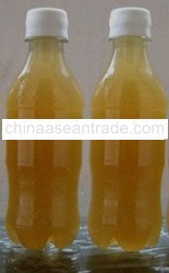 MATURED COCONUT WATER CONCENTRATE - 100% Natural