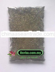 Pecah Beling - Strobilanthes crispus