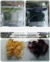 Pure Marine Collagen (PMC)