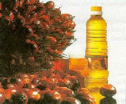 RSPO Certified Crude Palm Oil