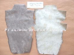 Male Stingray Skin Exotic Leather Raw Material Skin