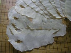 stingray skin