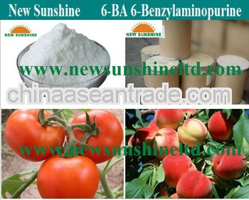 6-BA 98% TC powder (6-Benzylaminopurine)
